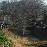 見沼通船堀東縁
