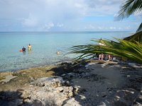 PalMar Snorkel Beach Club (Cozumel) - All You Need to Know BEFORE You Go