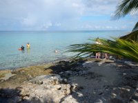 PalMar Snorkel Beach Club (Cozumel) - All You Need to Know BEFORE You Go