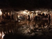 Luray Caverns - 루레이 - Luray Caverns의 리뷰 - 트립어드바이저