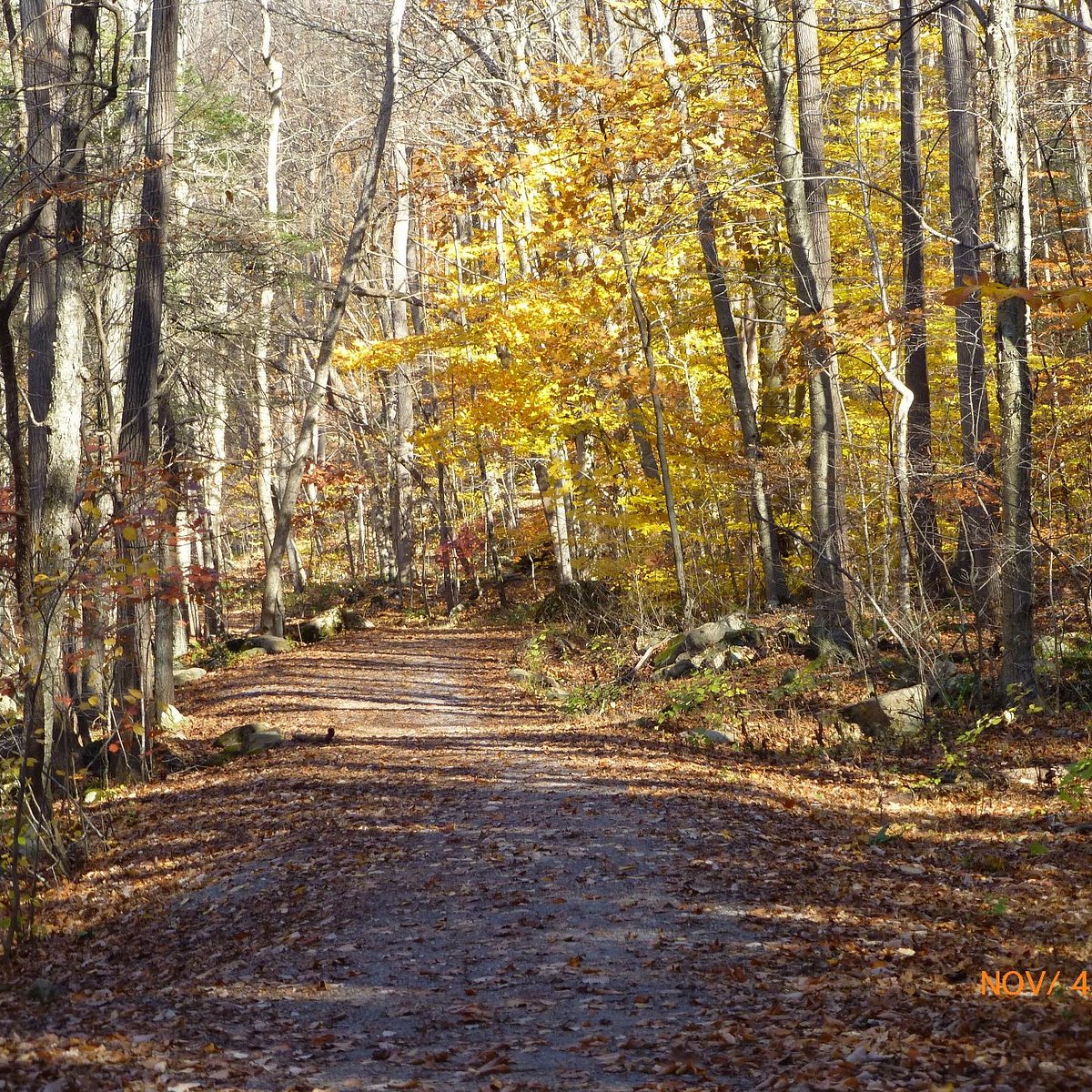 Free Stock Photo of Stream in Ken Lockwood Gorge in Autumn