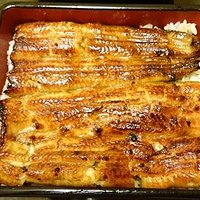 鰻重竹