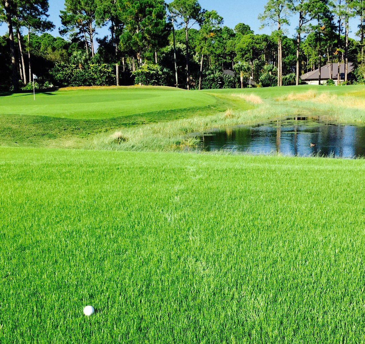 List 100+ Pictures the golf garden of destin photos Stunning