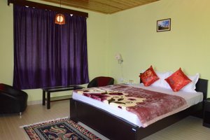 Room & Suite