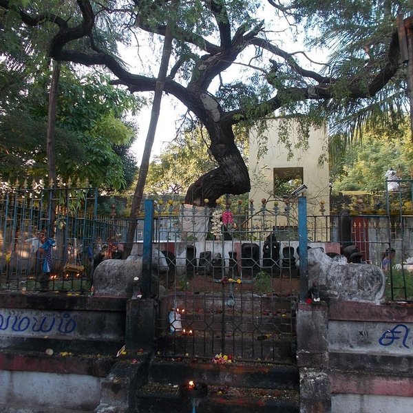 Vadapalani Murugan Temple (Chennai (Madras), India): Address, Phone