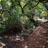 Gureghar Nature Trail