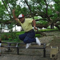 五福臨門神木