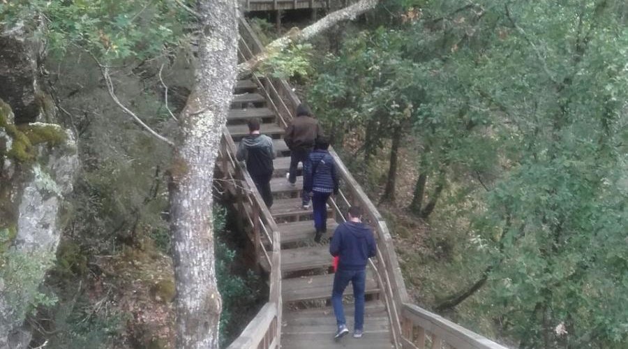 Paseando facilmente por el monte
