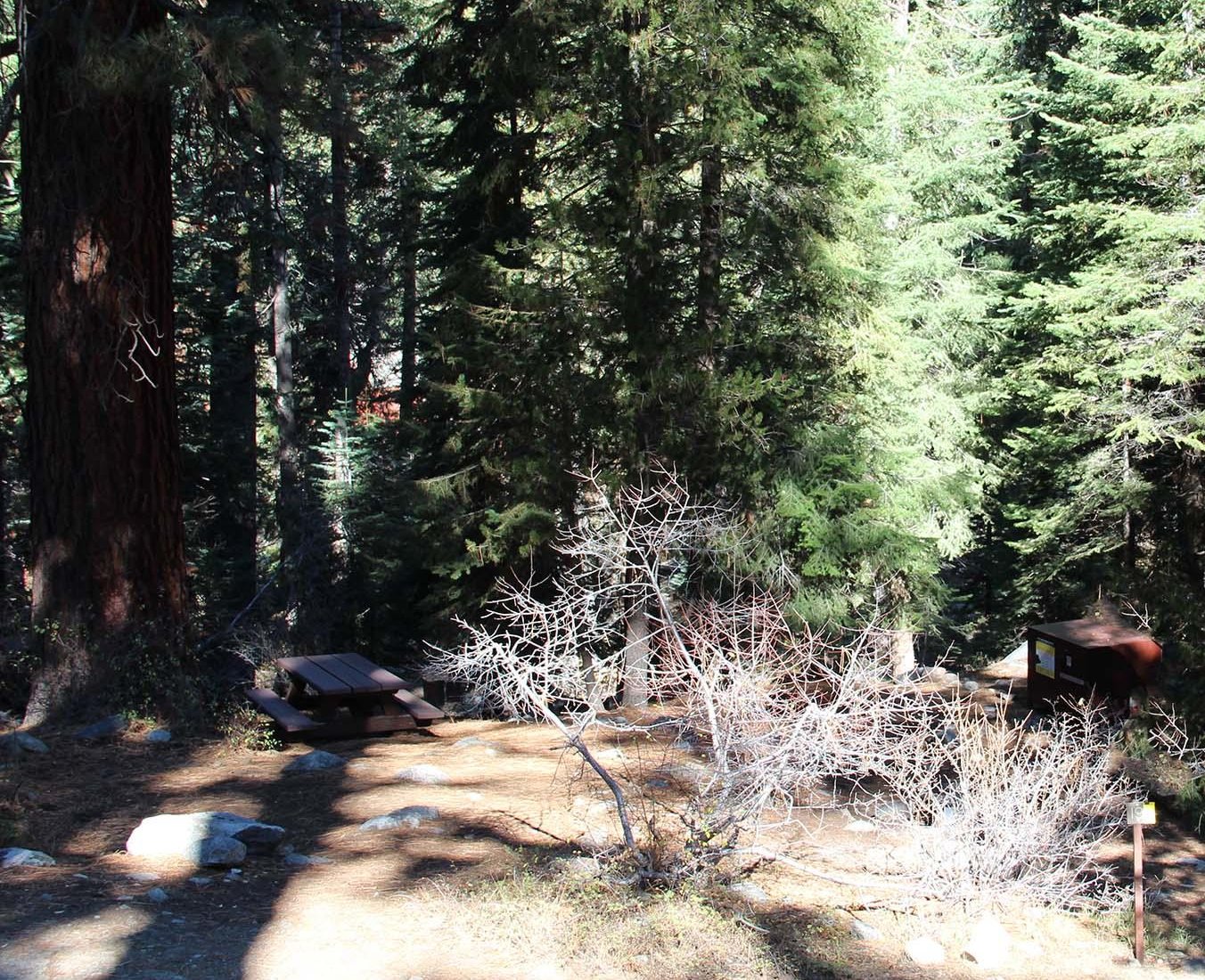 Cold Springs Campground by null