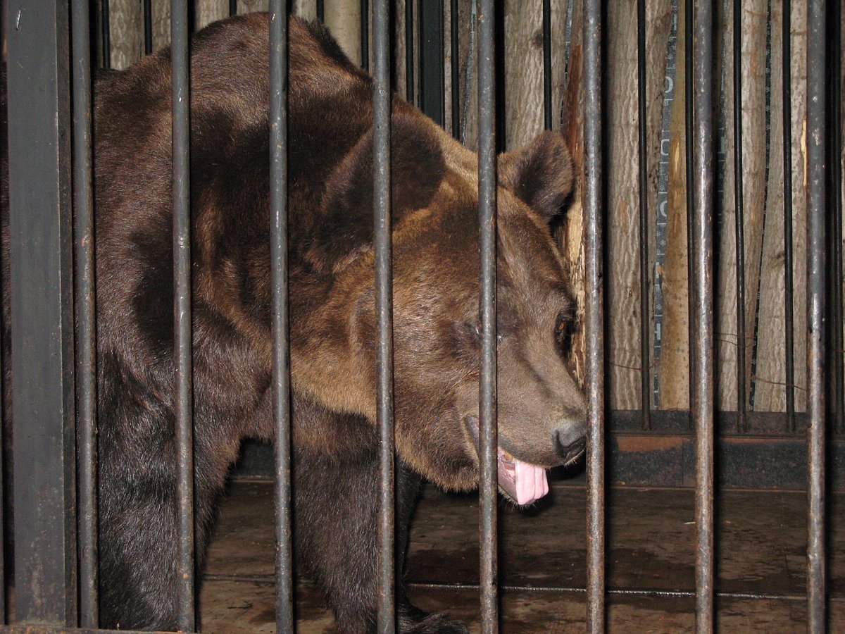 Samara Zoo - Lohnt es sich? Aktuell für 2024 (Mit fotos)