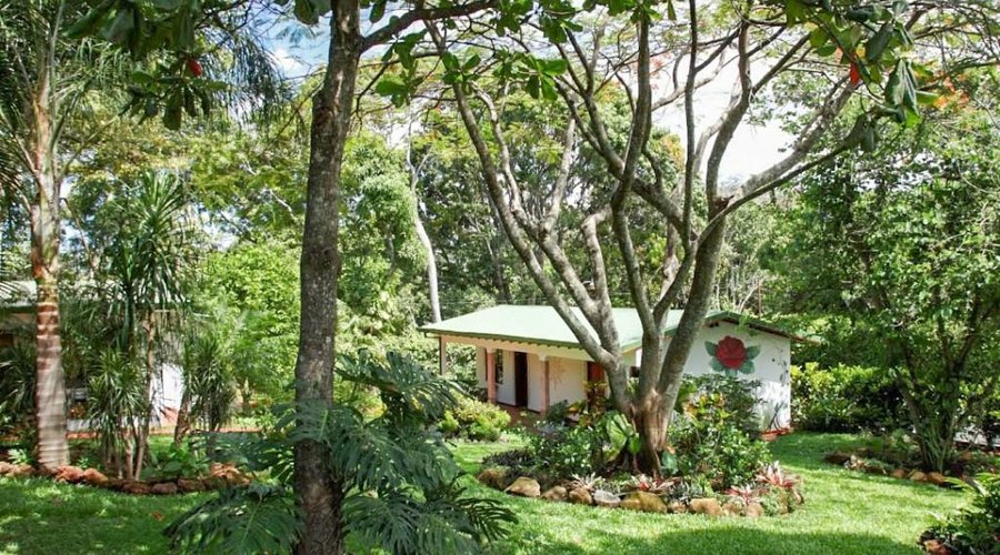 View of the garden from the center of the property
