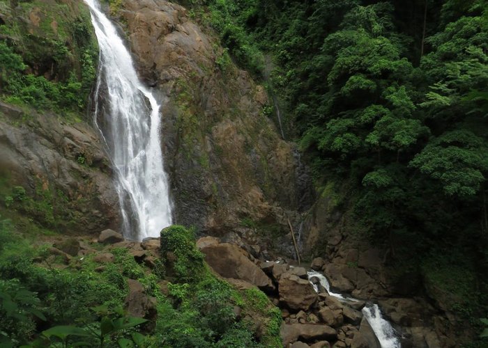 Tarcoles, Costa Rica 2023: Best Places to Visit - Tripadvisor