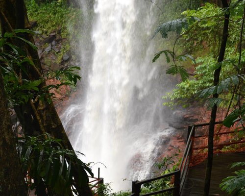 Belezas naturais: confira 7 passeios turísticos para fazer em