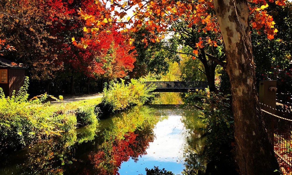 Lambertville, NJ park with bridge across water and fall trees surrounding