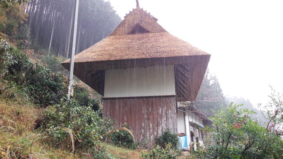 雨の風景