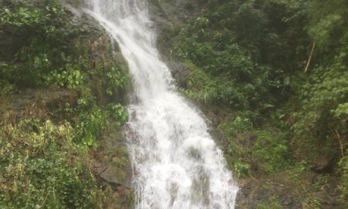 Nature