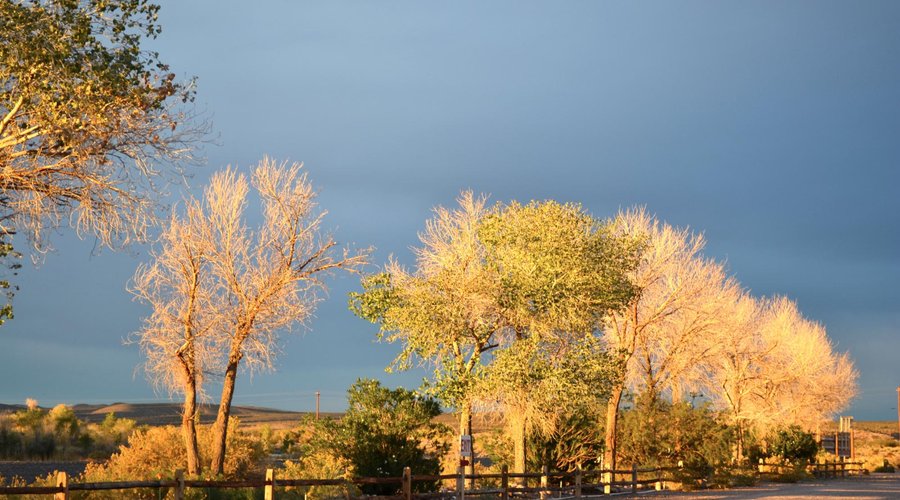evening light at the Beatty RV Park, Nevada