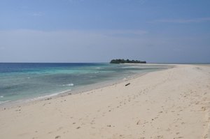 暗礁潜水度假村 (马达京岛) - Mataking Reef Resort - 133条旅客点评