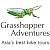 Grasshopper C