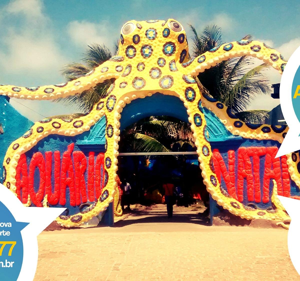 Aquário Natal (Extremoz) - ATUALIZADO 2023 O que saber antes de ir - Sobre o que as pessoas estão falando - Tripadvisor Aquário Natal (Extremoz) - ATUALIZADO 2023 O que saber antes de ir - Sobre o que as pessoas estão falando - Tripadvisor