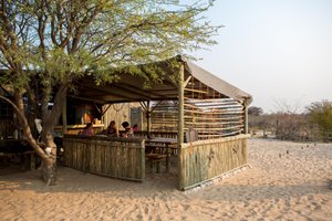 Modisa Wildlife Project in Maun