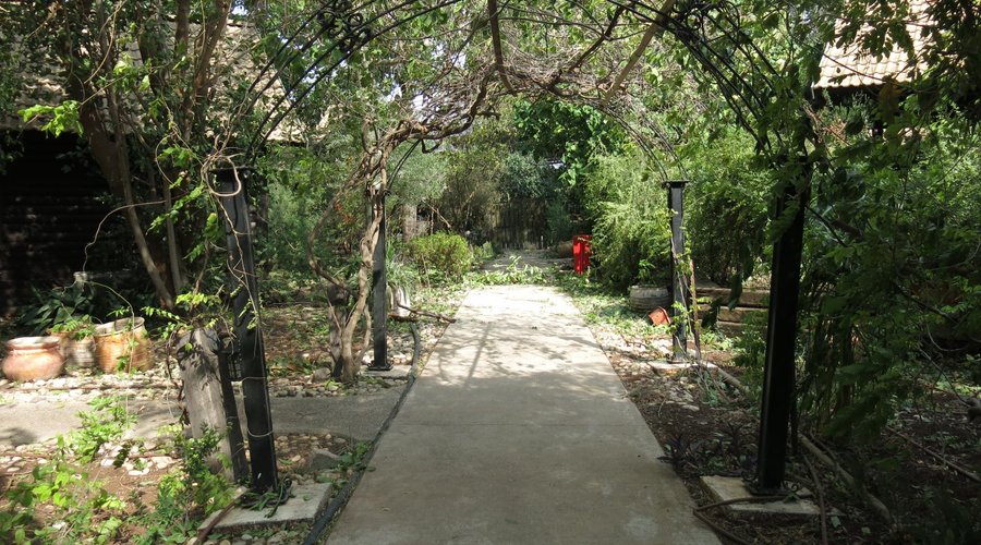 grounds