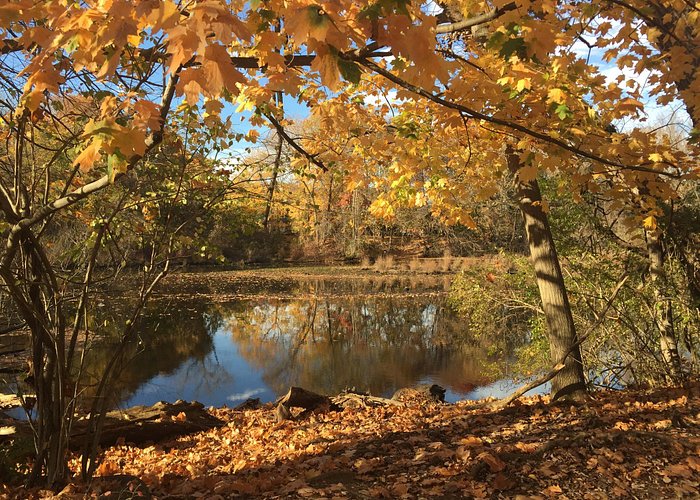 East Rock Park im Herbst und unglaublich schön. Wenn das Wetter mitspielt, sollte man unbedingt 
