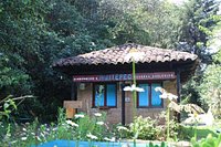 Reserva Ecológica Huitepec (San Cristóbal de las Casas) - 2023 Lo que se  debe saber antes de viajar - Tripadvisor