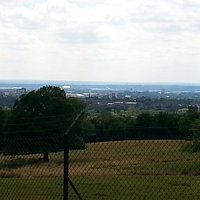 The view