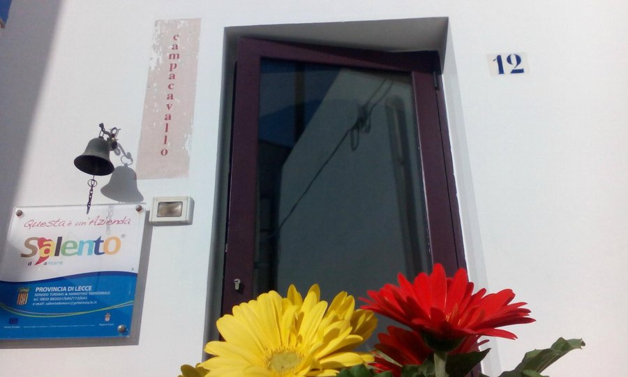ingresso