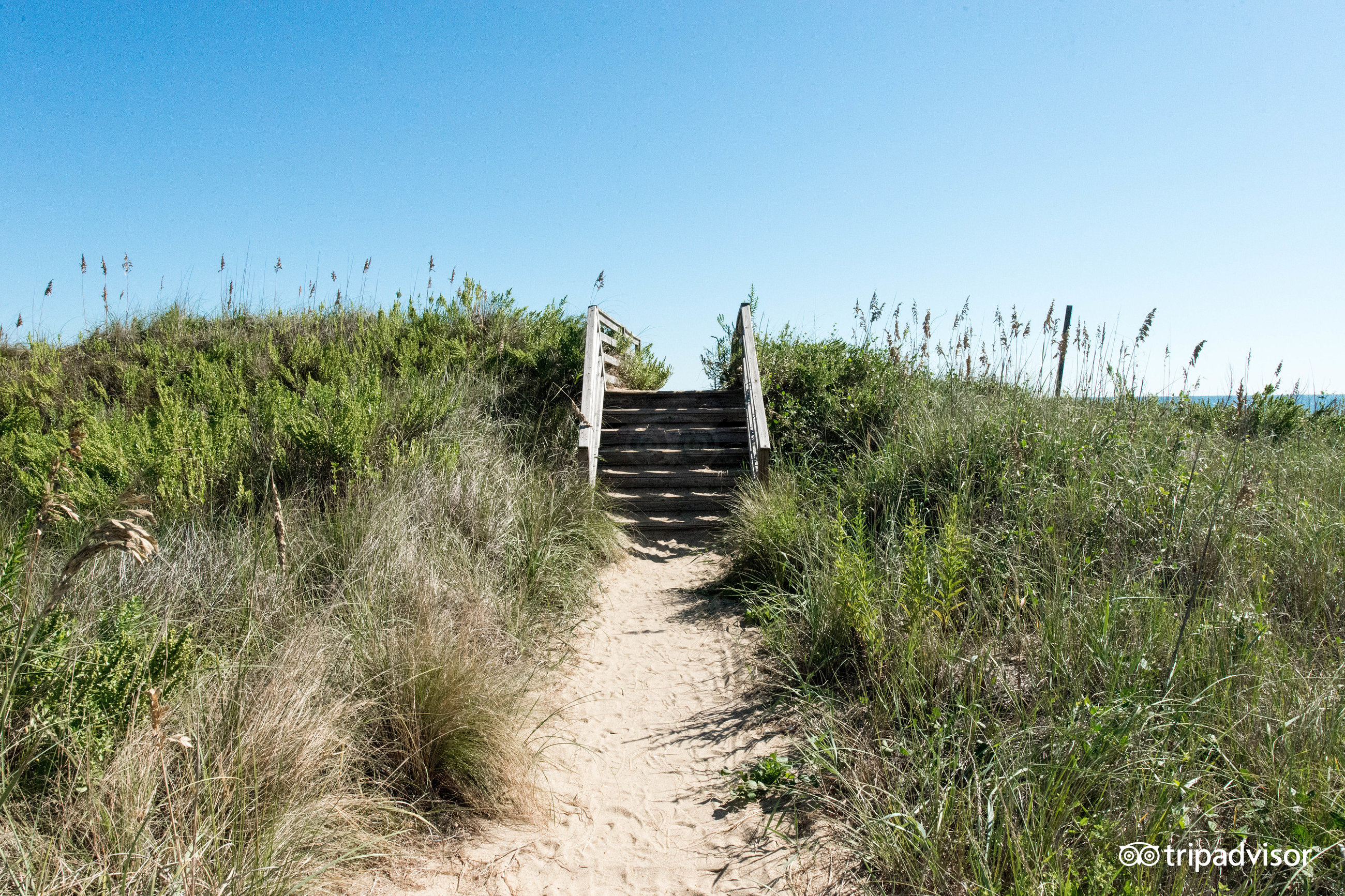 Wingate By Wyndham Kill Devil Hills Pool Pictures Reviews Tripadvisor   Beach  V9325398 