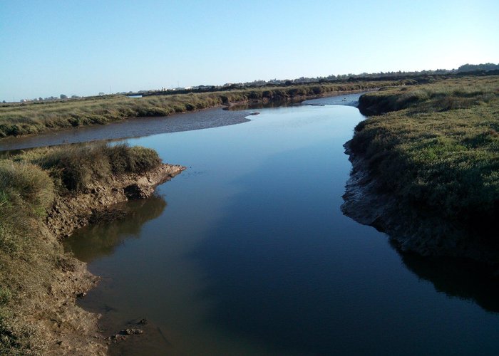 Molino de El Pintado