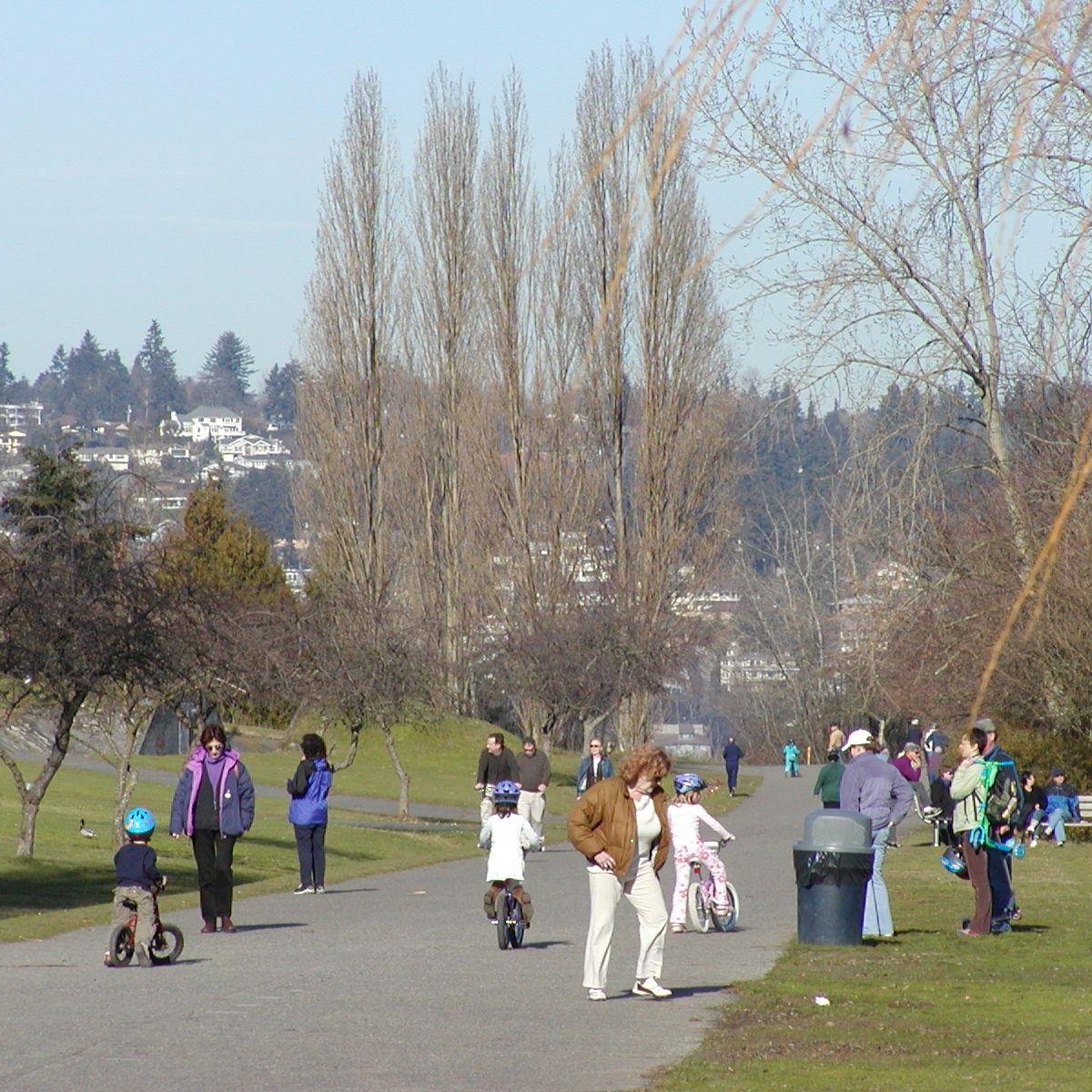 Magnuson Community Center Seattle Wa