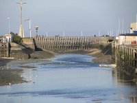 Le marché aux poissons de Courseulles-sur-Mer, fraîcheur et circuit-court -  Cœur de Nacre tourisme