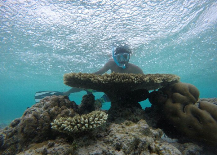 Gulhi Island Watersports - the edge of adventure