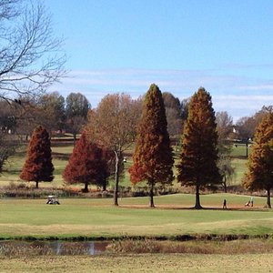 Target Golf Practice &Training, Powell, TN