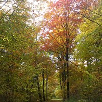Herfstpracht en lekkere kastanjes