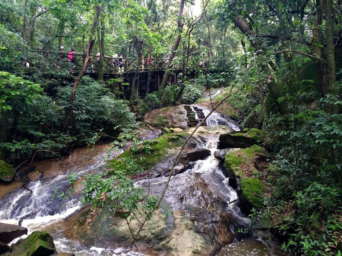 Carreta da Alegria em São Roque: atração acontece nesta sexta-feira no  Recanto da Cascata