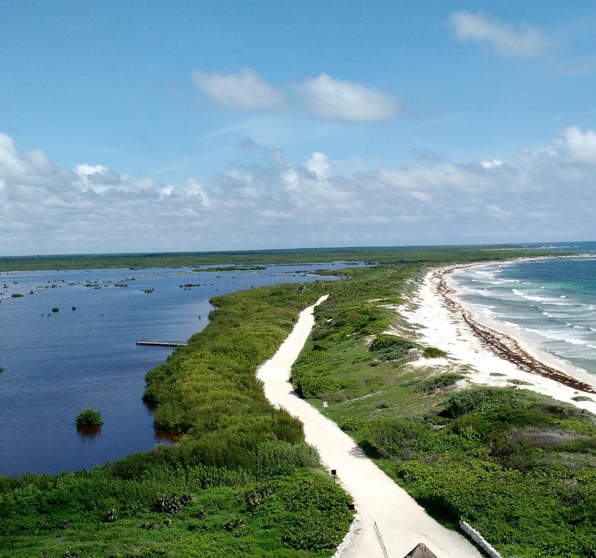 Faro Celerain Ecological Reserve (Cozumel) - All You Need to Know BEFORE  You Go