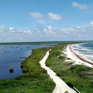 Playa San Francisco (Cozumel) - All You Need to Know BEFORE You Go