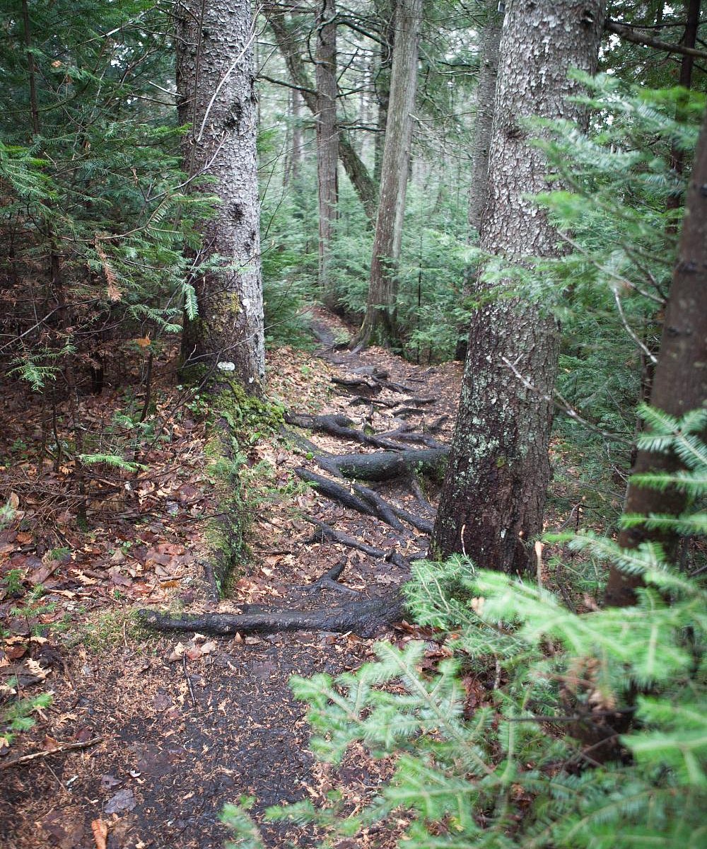 algonquin park mountain biking