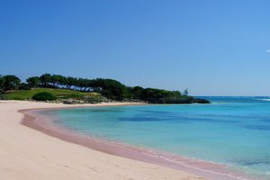 Pool & Beach