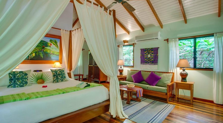Treehouse Room