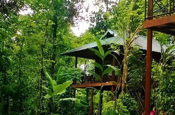 Ecotourism cottage