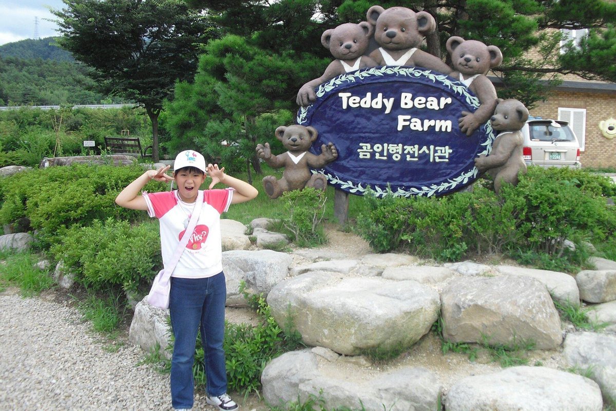 Teddy Bear Farm, Сокчо: лучшие советы перед посещением - Tripadvisor