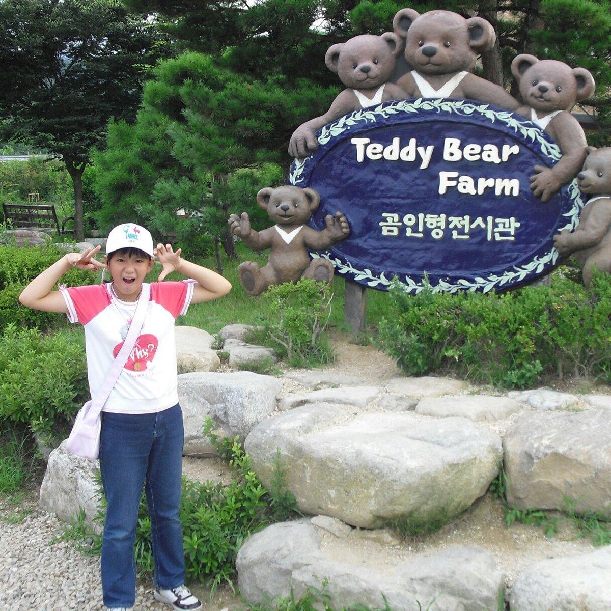 Teddy Bear Farm, Сокчо: лучшие советы перед посещением - Tripadvisor