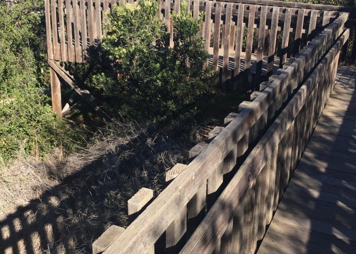 Interpretative boardwalk