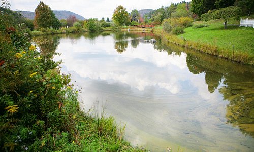 Pond at Nannen Arboretum