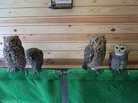 21年 鳥のいるカフェ 木場店 行く前に 見どころをチェック トリップアドバイザー 21年 鳥のいるカフェ 木場店 行く前に 見どころをチェック トリップアドバイザー