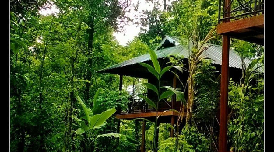tree house